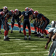 Illustration for article titled emMadden NFL 11/em: AFC East and West
